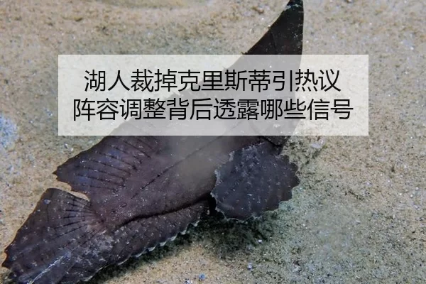 湖人裁掉克里斯蒂引热议 阵容调整背后透露哪些信号